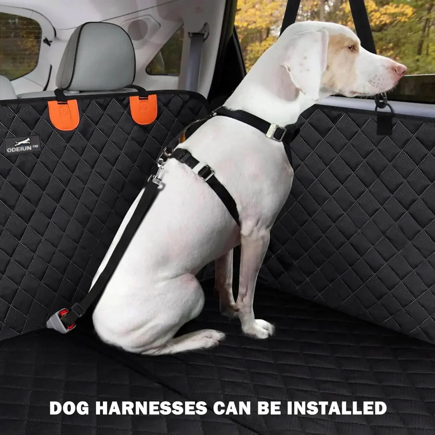 ODEIUN 2.0™м-HardBottom Dog Car seatProtector