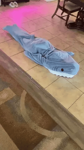 🔥Hot New Year's Sale🎉 Shark Blanket