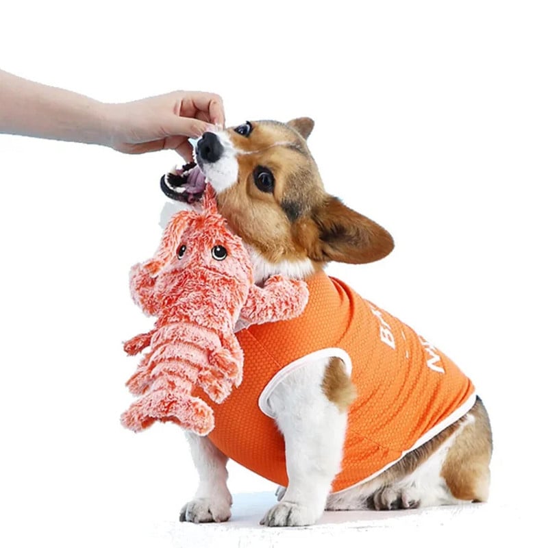 🔥Interactive cat and dog toy🔥